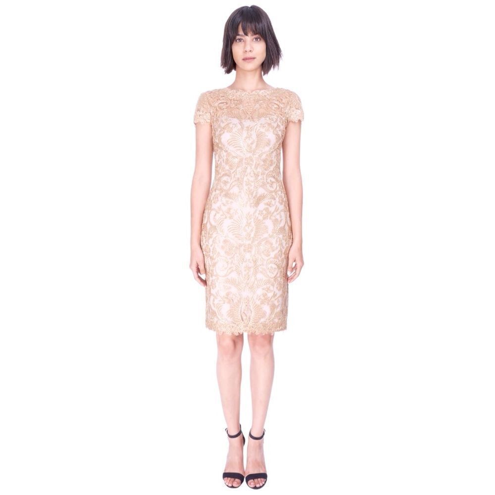 NWT Tadashi Shoji Corded Embroidery On Tulle Cap Sleeve Dress